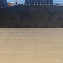 Tufted Upholstered Low Profile Storage Platform Bed