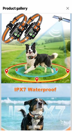 Dog fence system