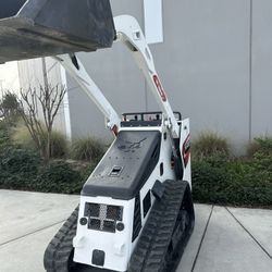 Bobcat