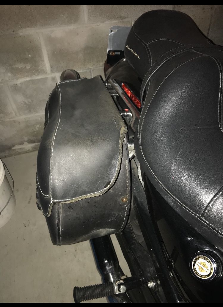 Leather Sportster Saddle Bags