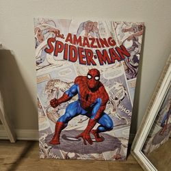 Spiderman Wall Frame