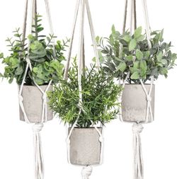 Set of 3 Artificial Hanging Plants in Macrame Hangers