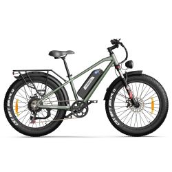 Kingbull electric bike