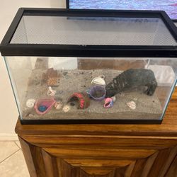 Fish Tank/hermet Crab Tank