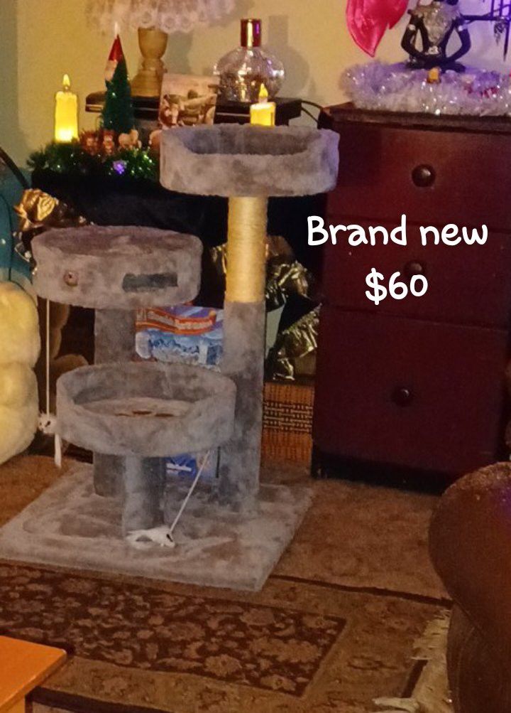 Brand New Cat Condo