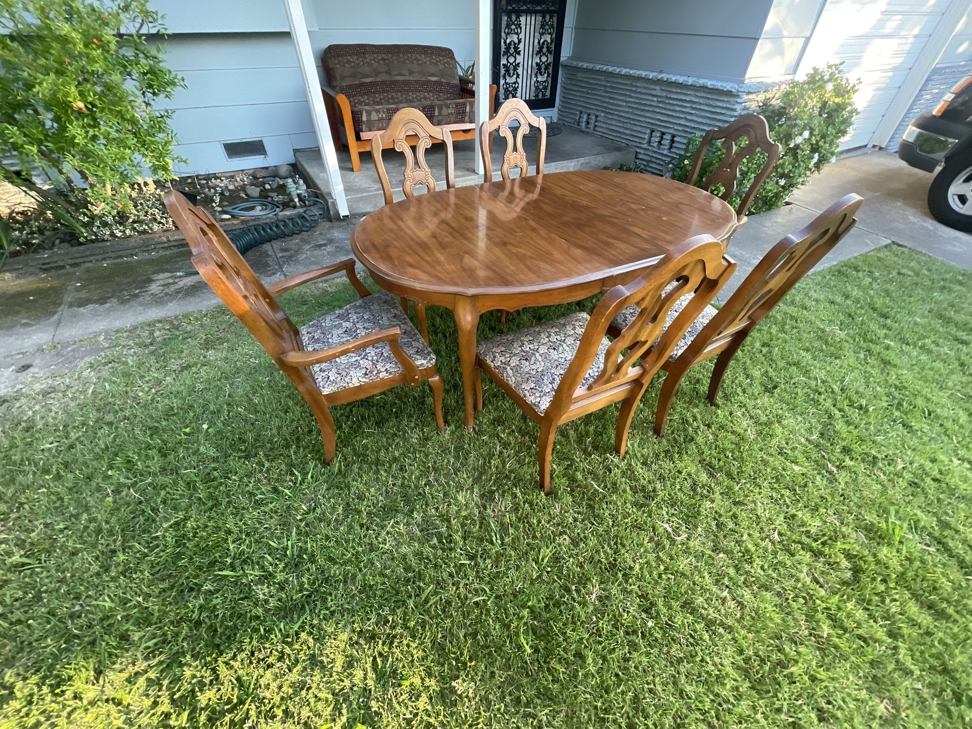 Wooden Dining Table Set with 6 Chairs