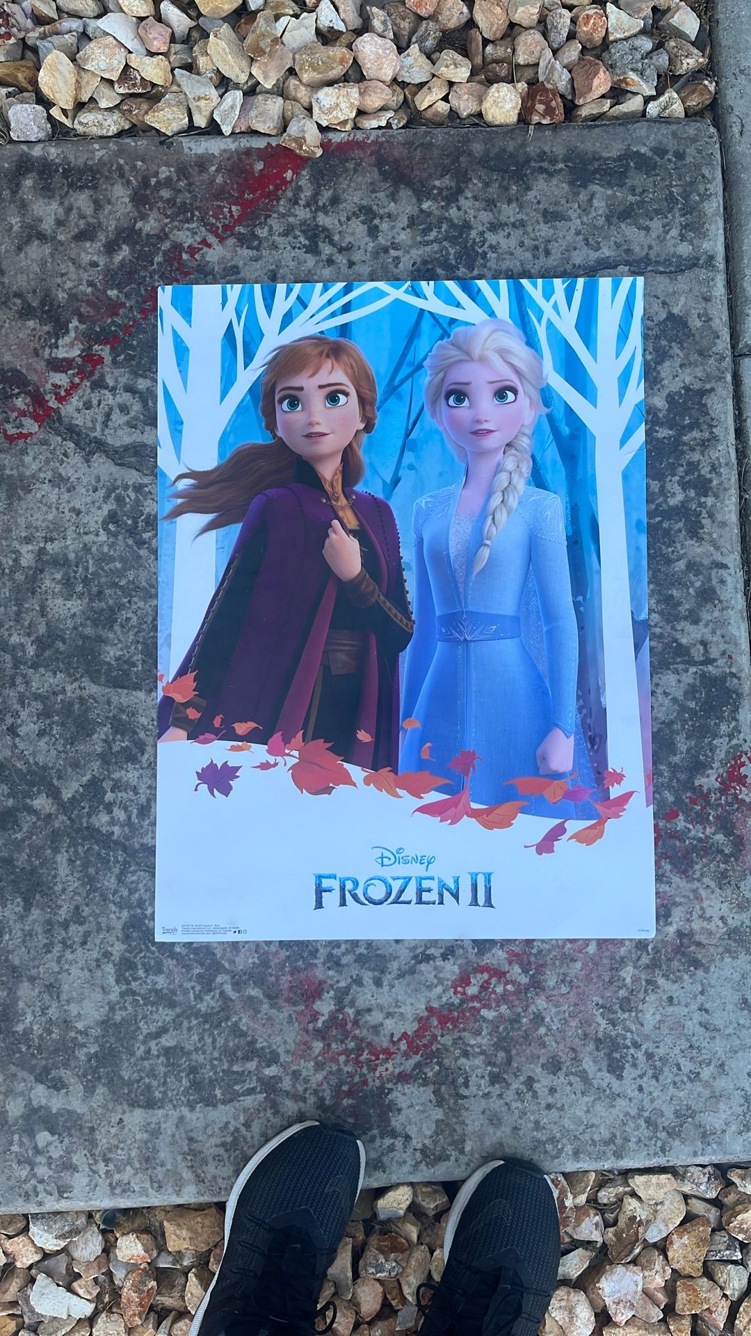 Frozen Poster Disney 