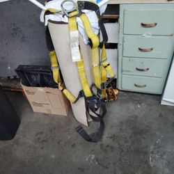 Safety Harness 