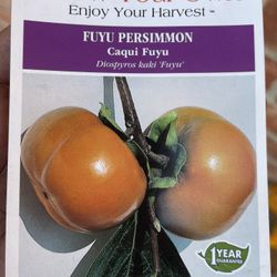 Persimmon Tree