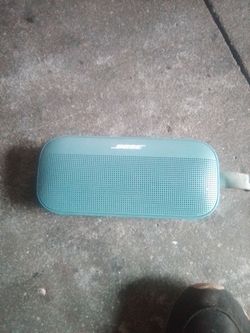Bose Flex 2