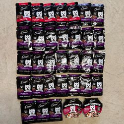 Brand New Cesar Dog Food - 33 items for $15