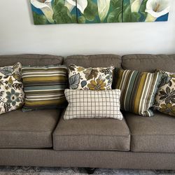 Indoor/outdoors Coordinated Throw Pillows