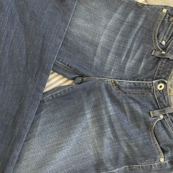 Adriano Goldschmied Blue Jeans- The Jessie Boot Fit-size 28R