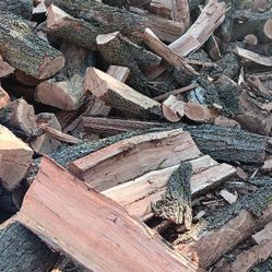 Dry Almond Firewood 