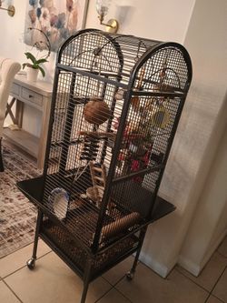 Bird Cage
