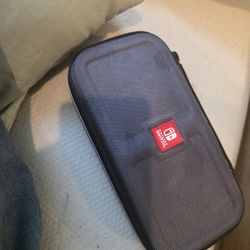 Nintendo Case 