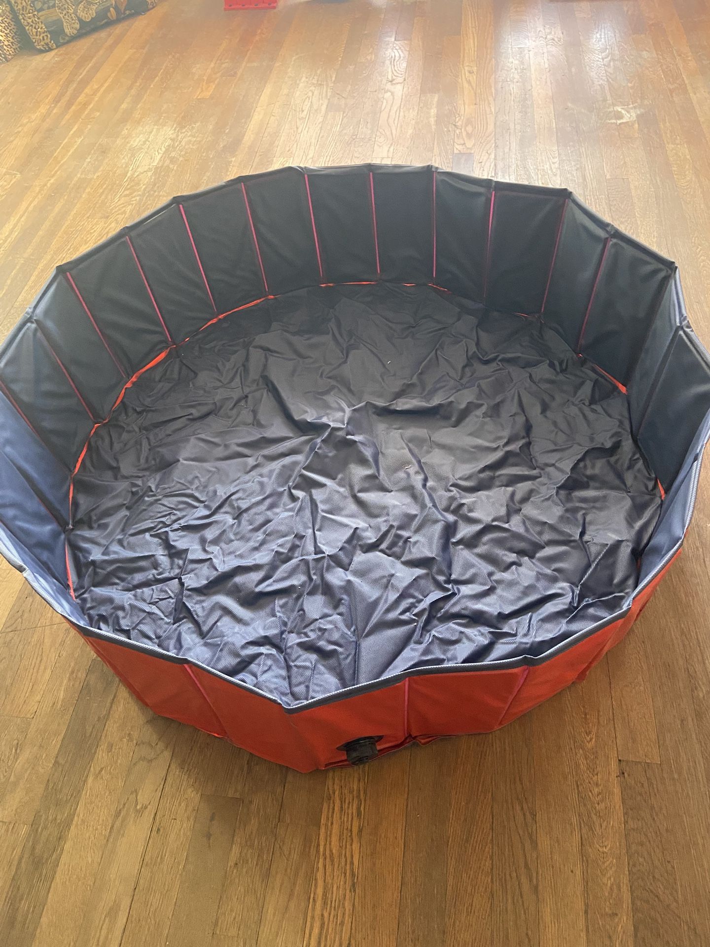 Doggy Pool