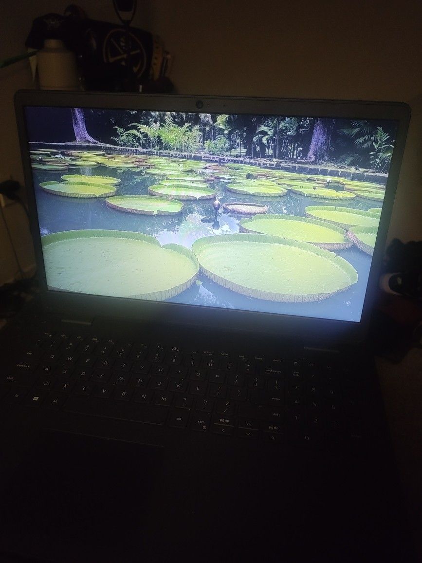 Like New Dell Laptop
