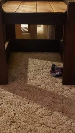 Custom Made Dog Bed