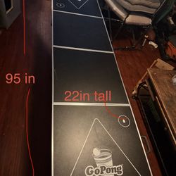 Beer Pong Table