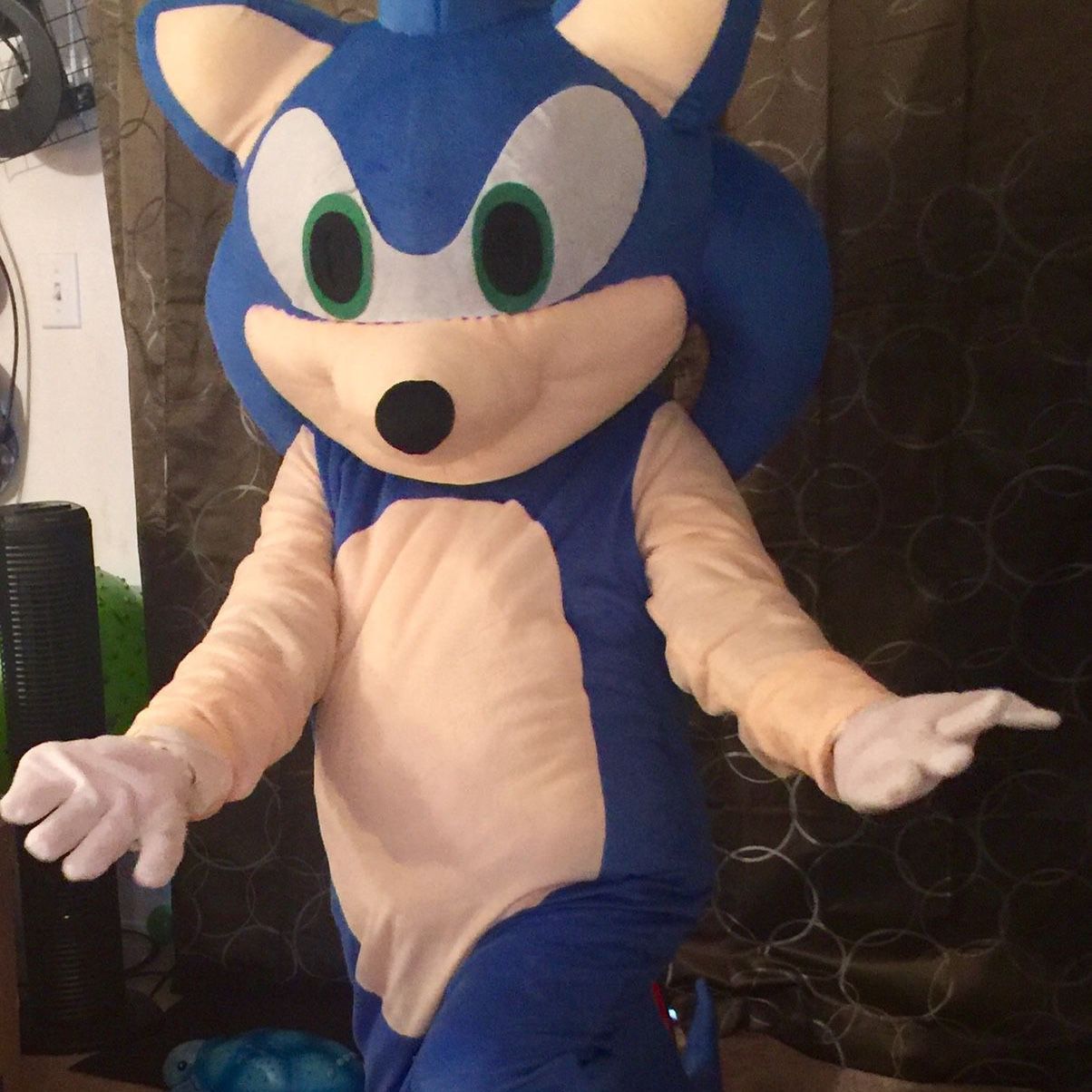 Sonic costume and Mario Costume
