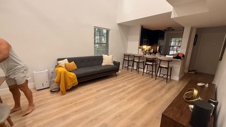 Gray  Modern Sofa