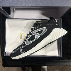 Black Dior B20