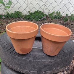 Flower Pots 