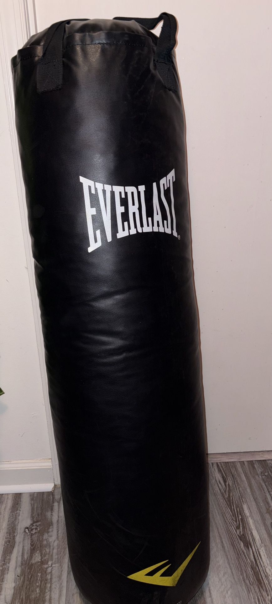 Everlast Punching Bag