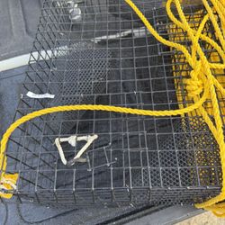 Shrimp Pot