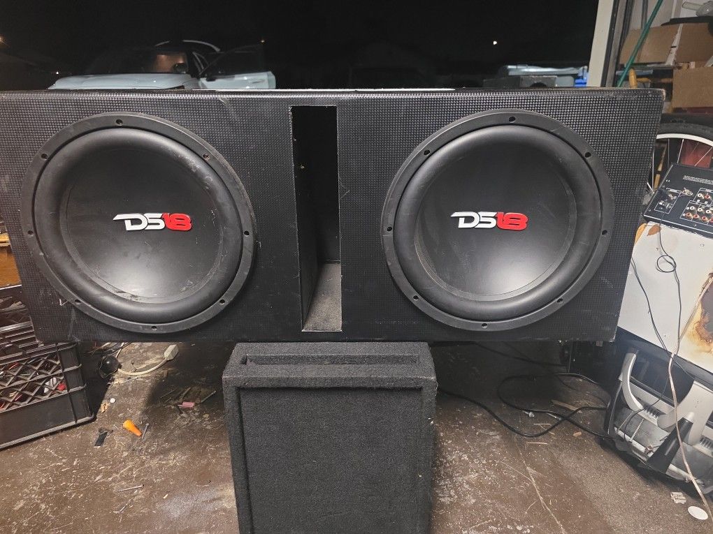 Ds18s With Amp