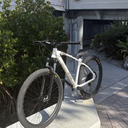 c100 collective bikes