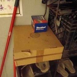 Two New Rotors And One Set Of Brake Pads 