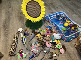 Sunflower ScratchPad & 30 TOYS Box Toys ADDED MORE plus pool w/8 balls 4 Kittens $20