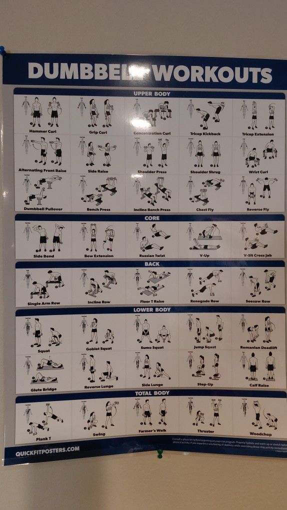 4 Laminated Exercise Diagrams