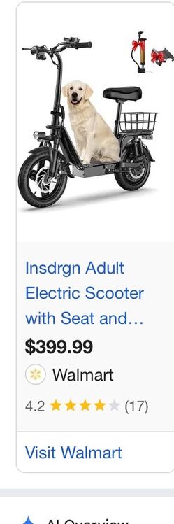 Insdrgn electric scooter c14