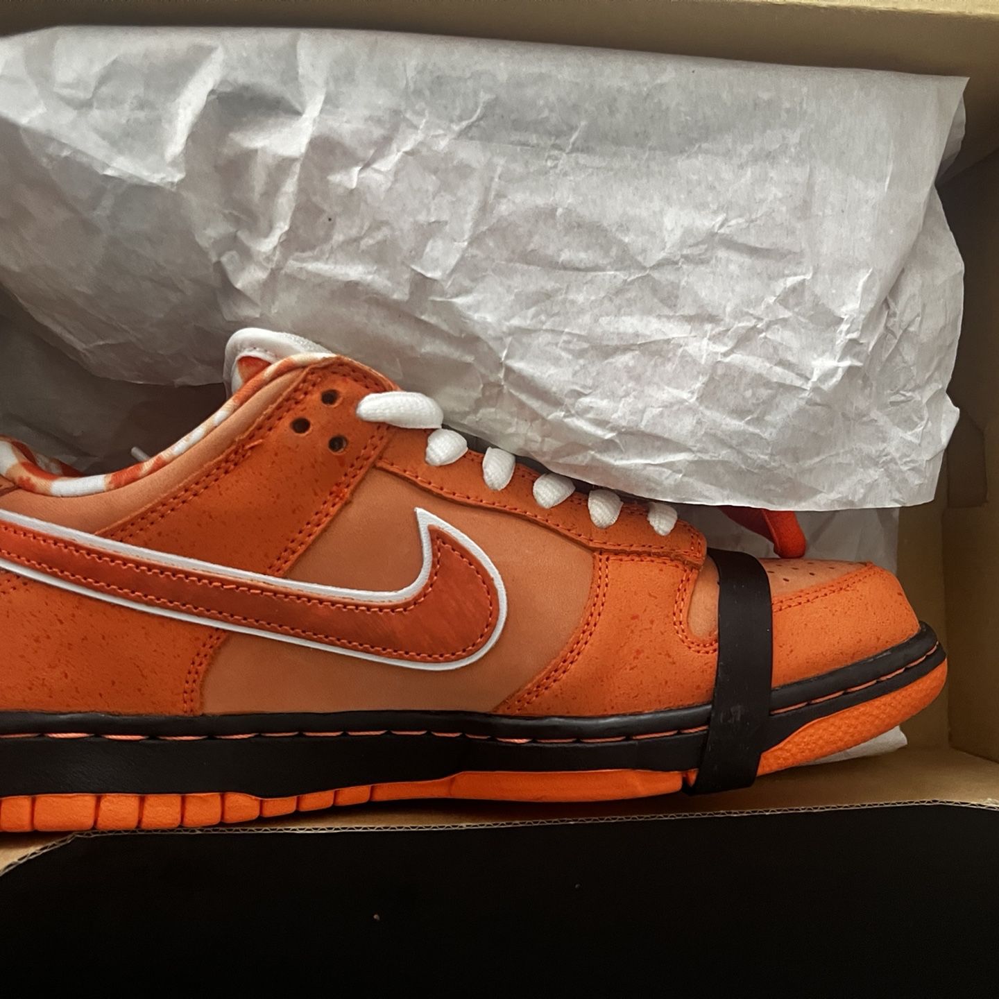 7y Dunk Low Orange Lobster Nikes