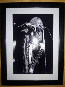 IAN ANDERSON- JETHRO TULL PICTURE