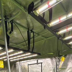 Growers choice light