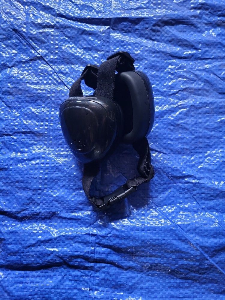 Dog Ear Protection