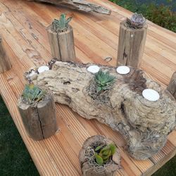 Succulents Accessories 