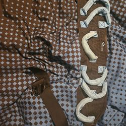 Transfer Belt