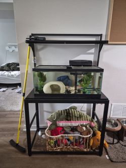 Fish stand