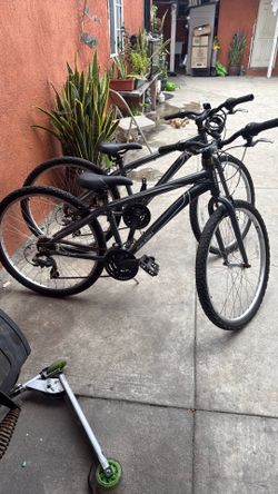 Raleigh bike