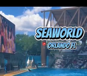 Sea world discount tickets