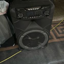 Dolphin large speaker 