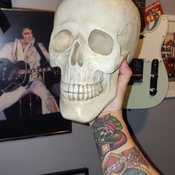 Composite Skull Lifesize