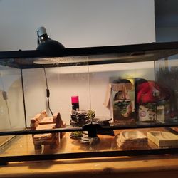 40 Gallon Reptile Tank 