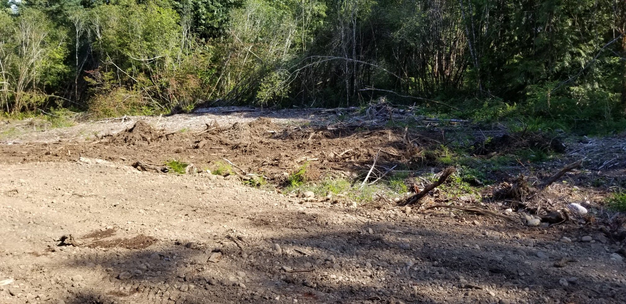 Need Clean Fill Dirt