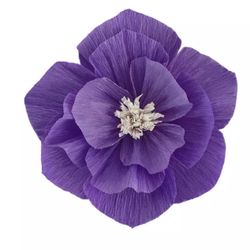 Paper Flowers Crepe Fancy